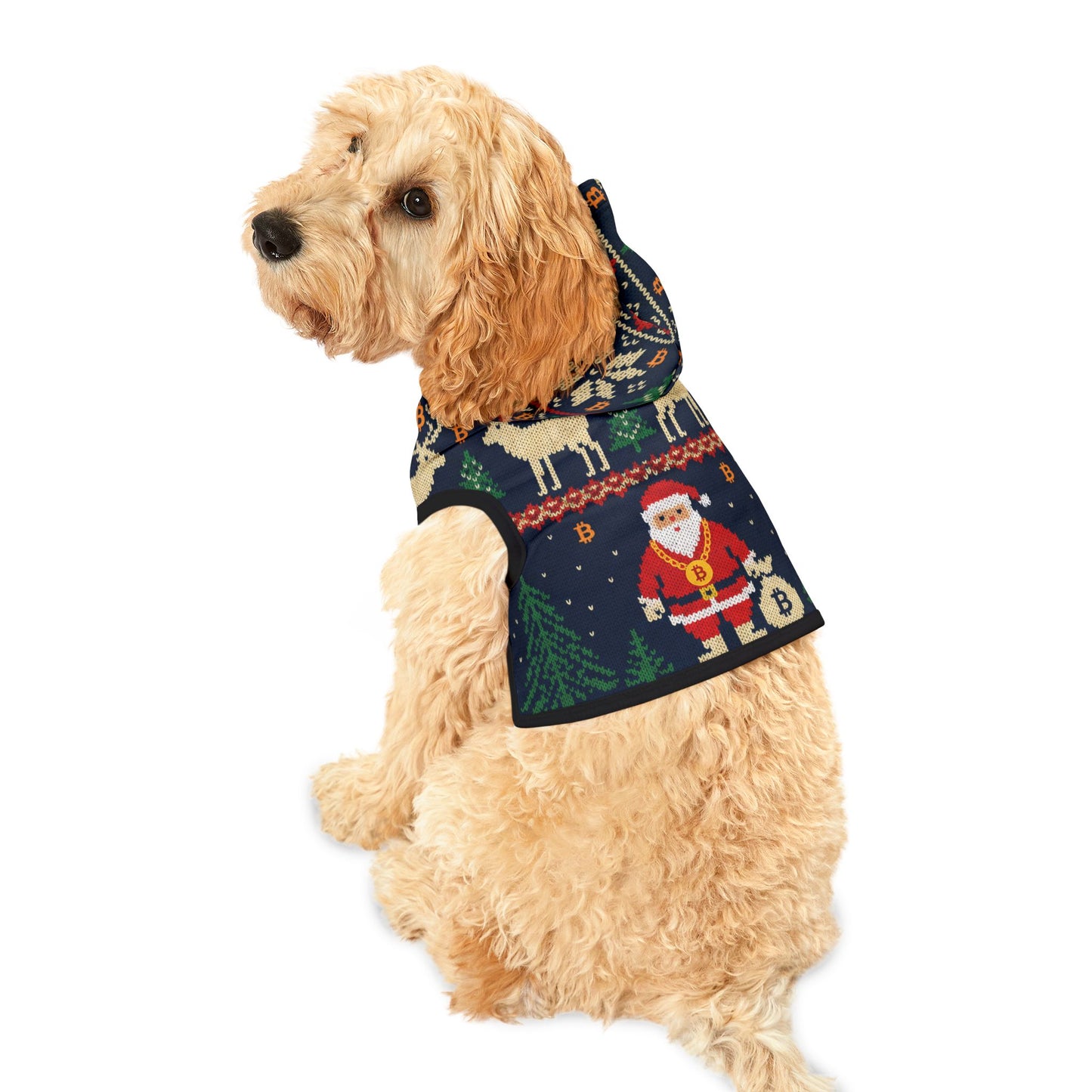 Bitcoin Ugly Sweater Santa Pet Hoodie Festive Party Events